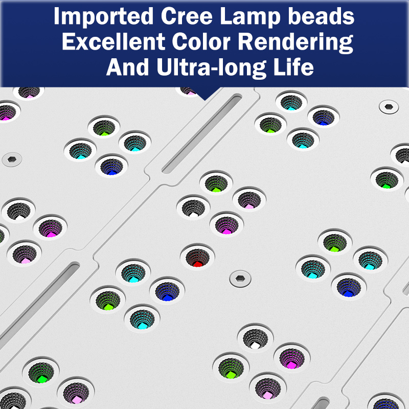 Aquarium Marine Light - 핫 KASSRAY T169/T215 CREE LED 풀
