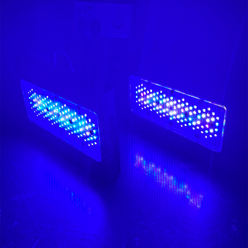 Aquarium Marine Blue - 240W A8se II 맥스 블루 해양