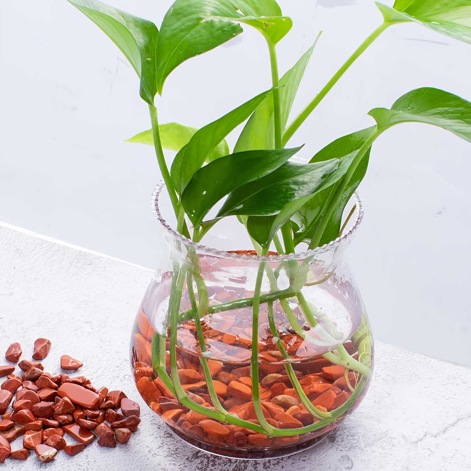 레드 재스퍼 텀블 스톤 - 천연 석영 조각, 꽃병 채우 - Aquarium Marine Stone 리뷰 및 가격
