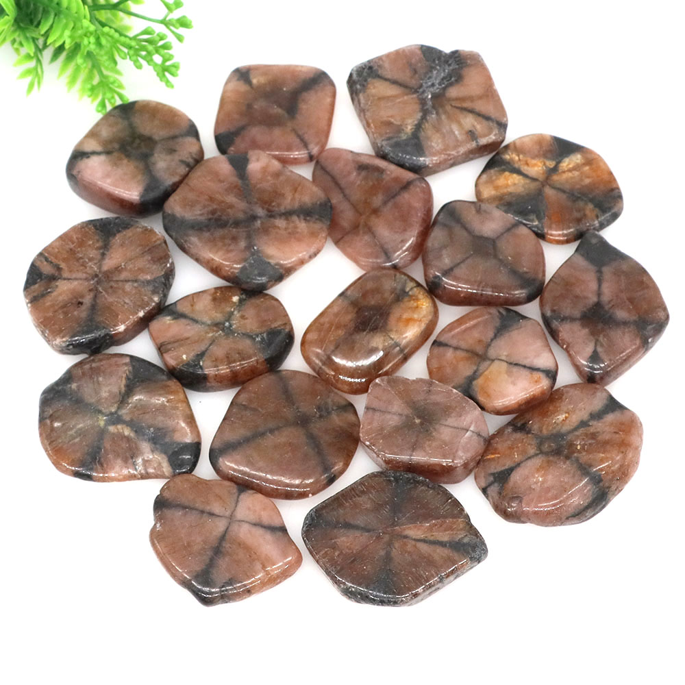 자연 크로스 Chiastolite 석영 크리스탈 치유  - Aquarium Marine Stone 리뷰 및 가격