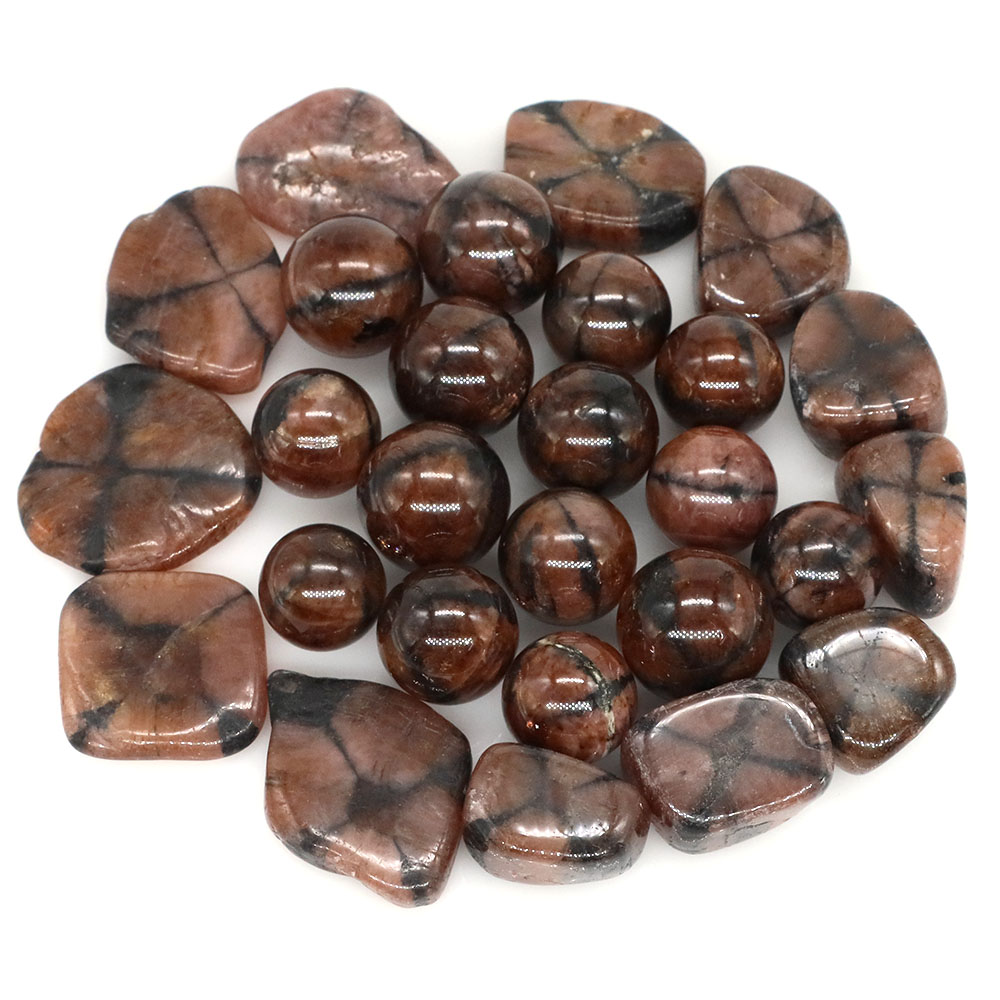 자연 크로스 Chiastolite 석영 크리스탈 치유  - Aquarium Marine Stone 리뷰 및 가격