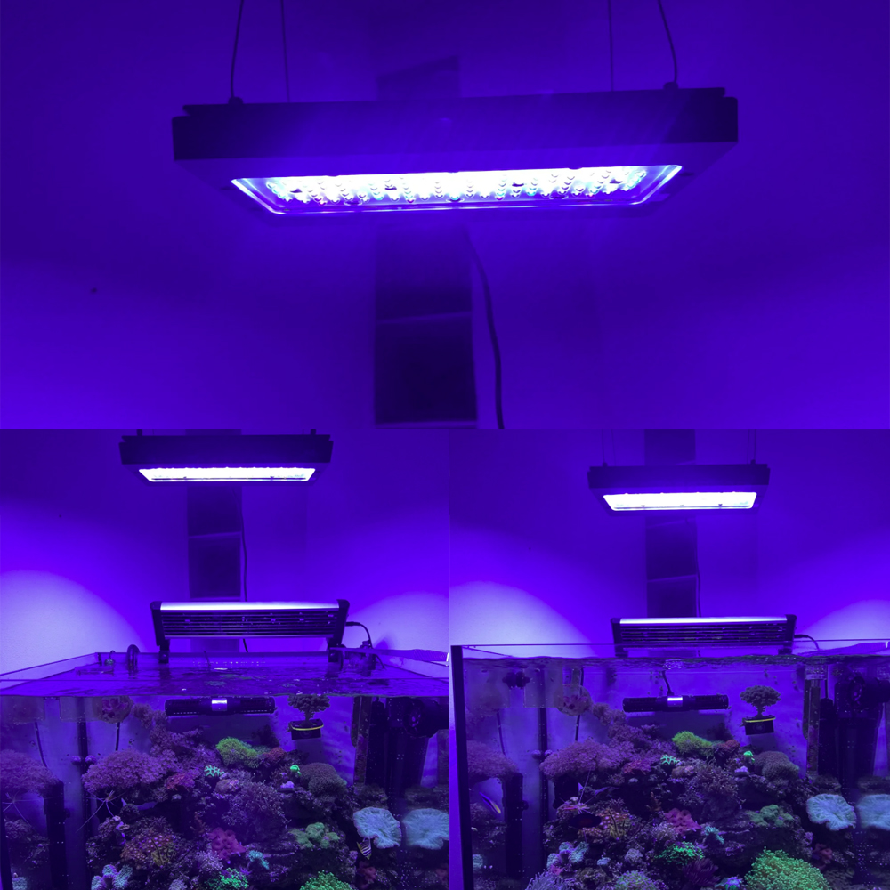 A8se Pro III MAX 블루 240W 해양 리프 - Aquarium Marine Blue 리뷰 및 가격