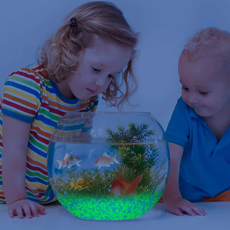 1000pcs 어두운 자갈 돌에 3-5mm 빛나는 모래 - Aquarium Marine Stone 리뷰 및 가격