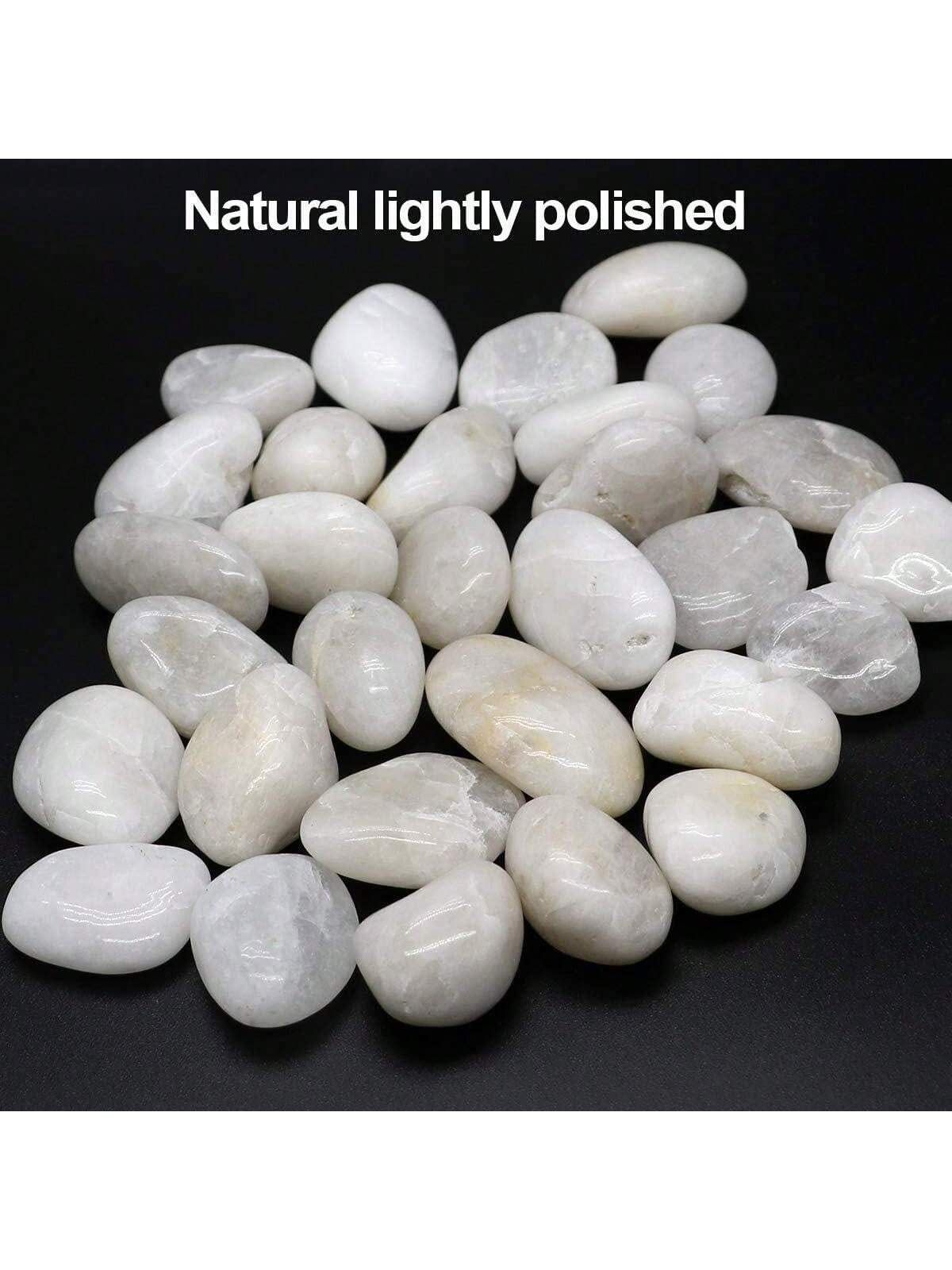 강 바위 장식용 흰색 자갈 돌 대형 천연 장식 광택 강 - Aquarium Marine Stone 리뷰 및 가격