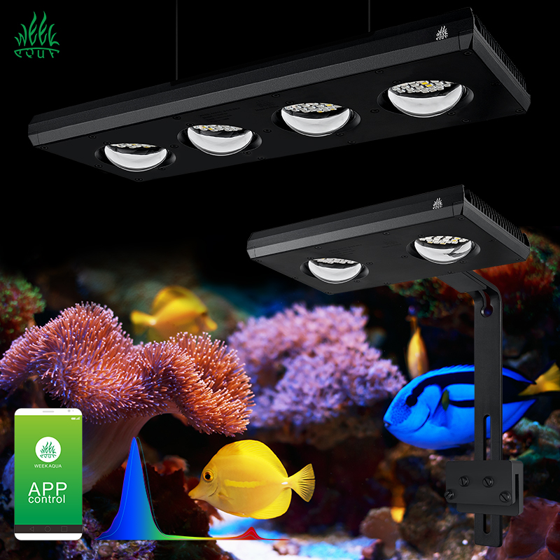 ZXY 핫 세일 WEEKAQUA Z250 Z400sea - Aquarium Marine Blue 리뷰 및 가격