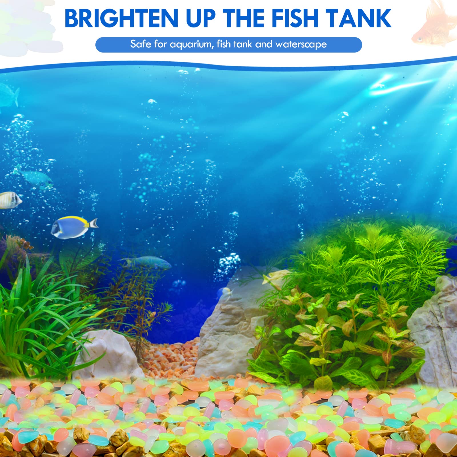 100Pcs 보도 정원 테라스 잔디 정원 파티오 물고기 - Aquarium Marine Stone 리뷰 및 가격