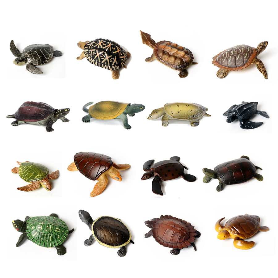 현실적인 미니어처 해양 생물 바다 거북이 모델, 해양  - Aquarium Marine Fishes 리뷰 및 가격